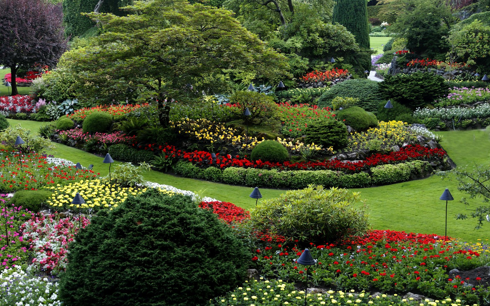 EVERGREEN landscaping